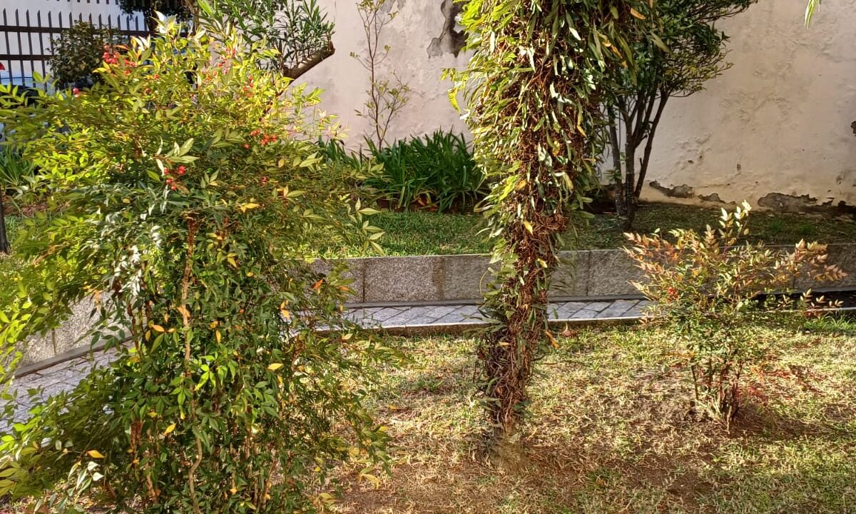 WhatsApp Image 2025-08-07 at 13.38.15